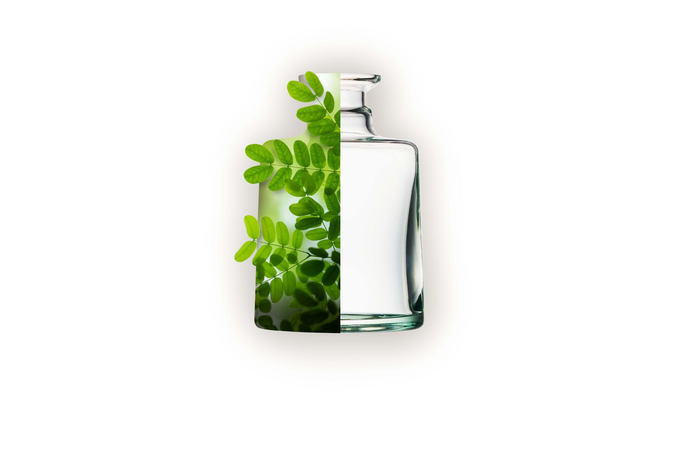 Hrastnik1860 participating in the H2GLASS project